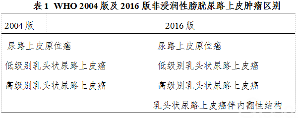 四,膀胱癌的组织病理学及分期