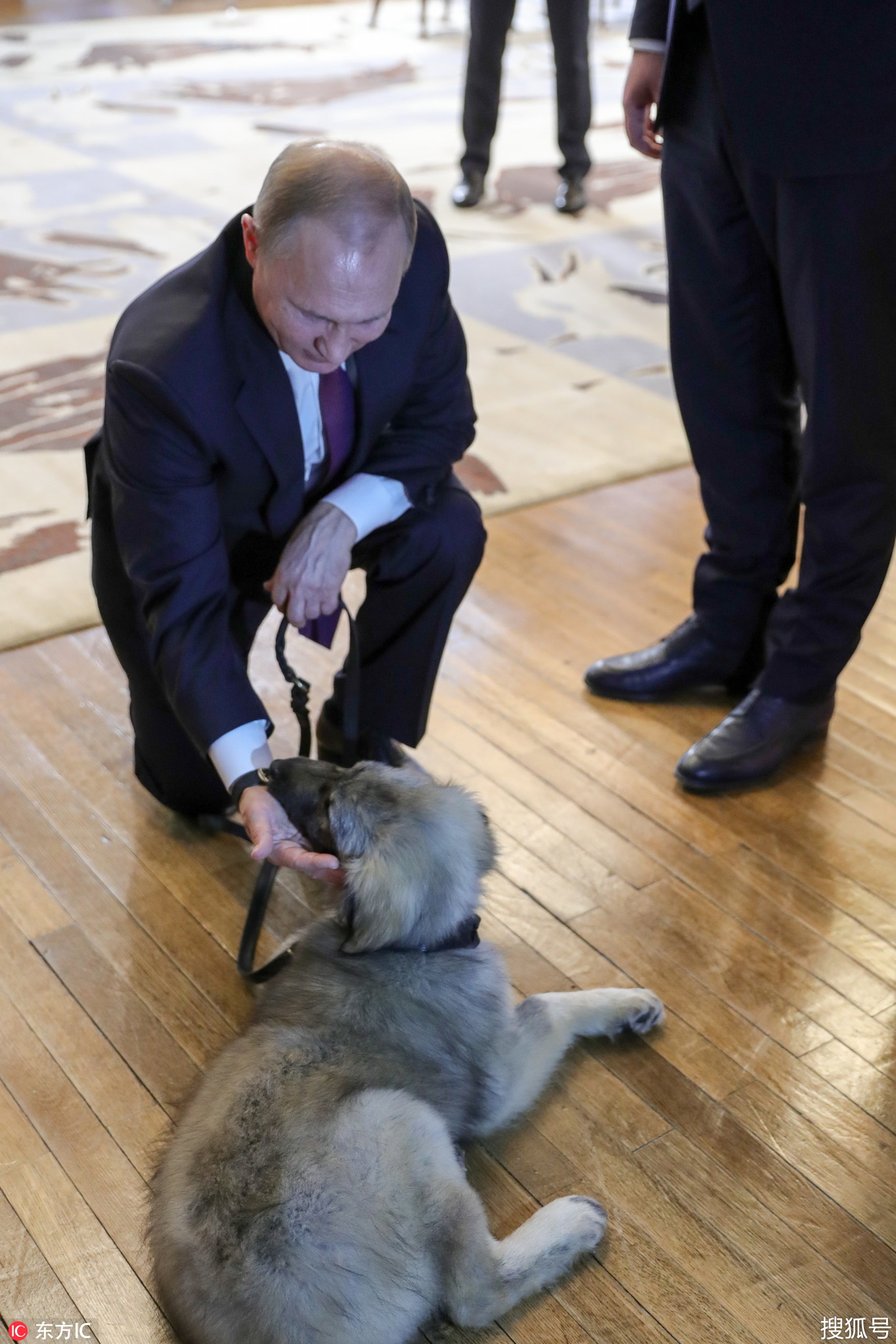 普京访塞尔维亚再获宠物犬蹲地逗狗尽显铁汉柔情