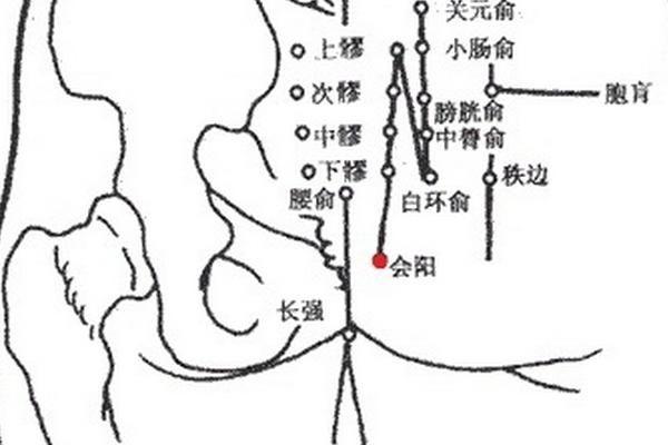 會陽穴的準確位置圖和作用_按摩