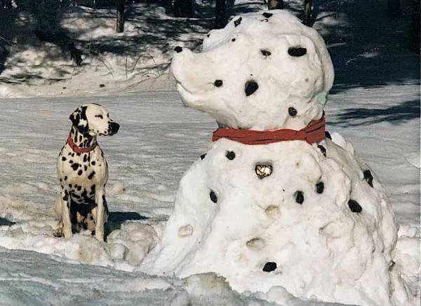 狗狗们与雪人的欢乐时光