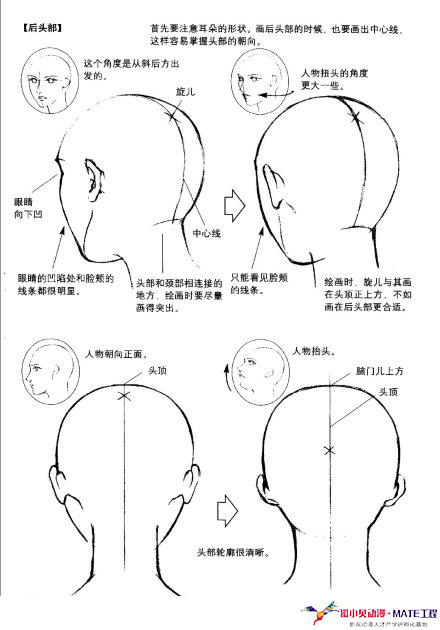 狐小贝动漫人物绘画技巧讲解动漫人物头部五官特征