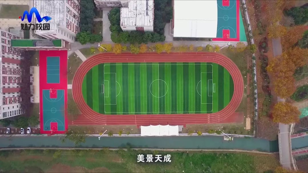 专题片南京市华电中学创建园林式校园汇报