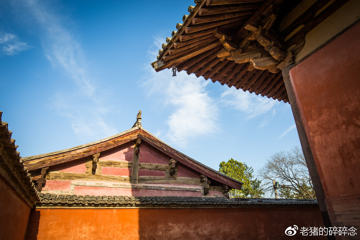 原創偏安山坳自珍重探訪中國最古老唐代古蹟南禪寺