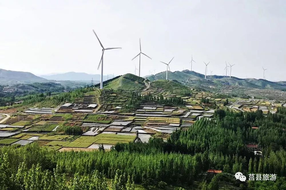 你好,我是碁山,这是我的最新名片!