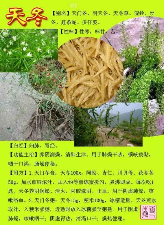 300种常见中草药图谱(含功能主治)