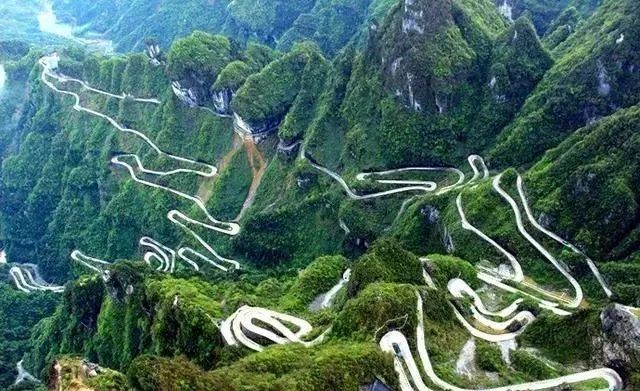 中国最美森林公路图片