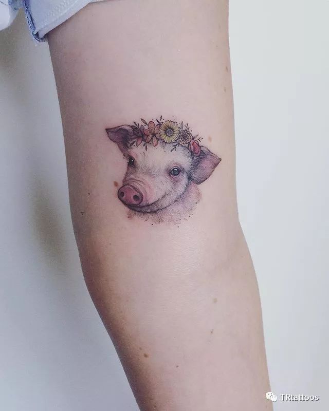 招财猪纹身图案图片