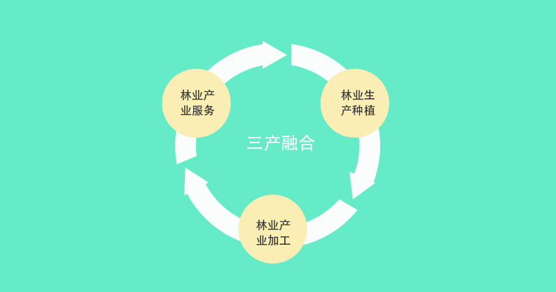 2018中国林业总产值再突破733万亿林业三产融合高速发展