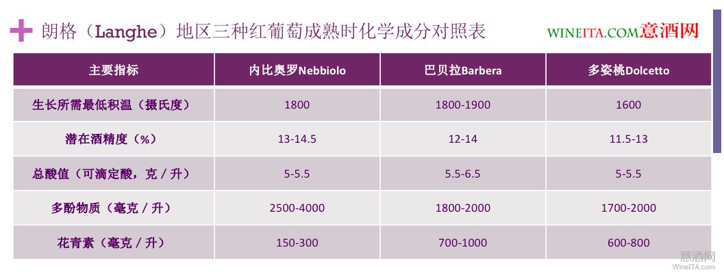 品种,内比奥罗葡萄不仅单宁更重,而且拥有更多的多酚类物质种类和含量