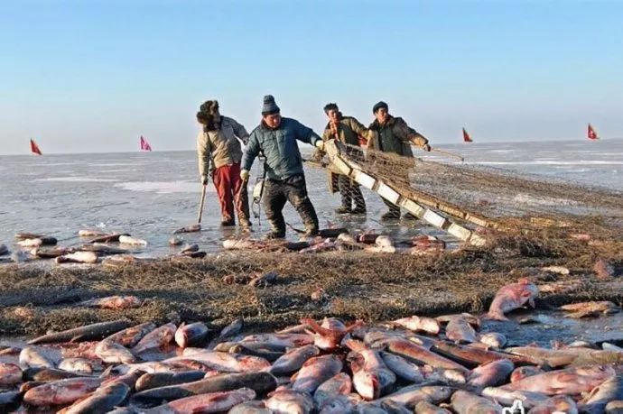 地域文化东北渔猎史话