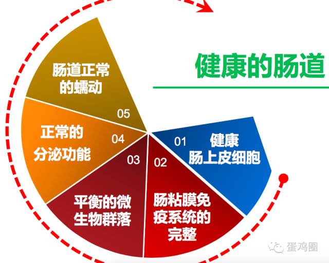 別說您的管理很細心看看這蛋雞舍水管裡放出來的水能不鬧腸道病嗎