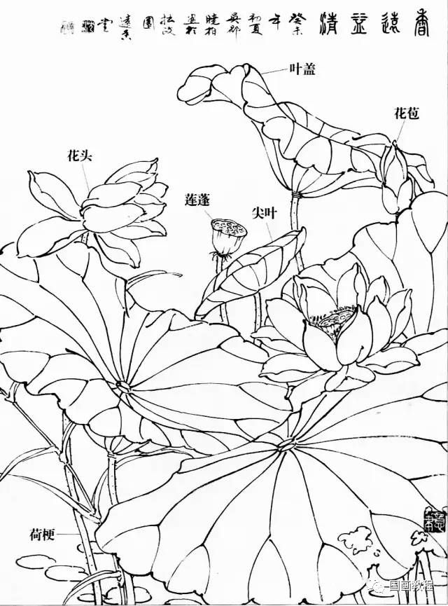 国画教程教你水墨荷花一学就会