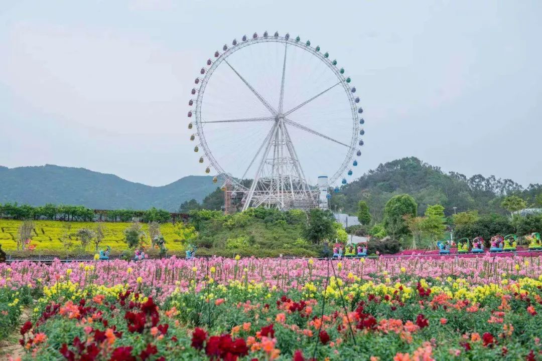 望天湖摩天轮图片