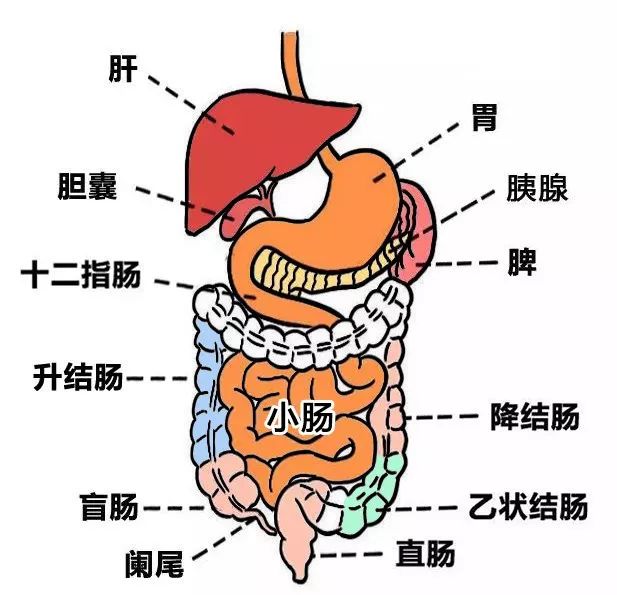 全世界只有中国人爱喝热水?