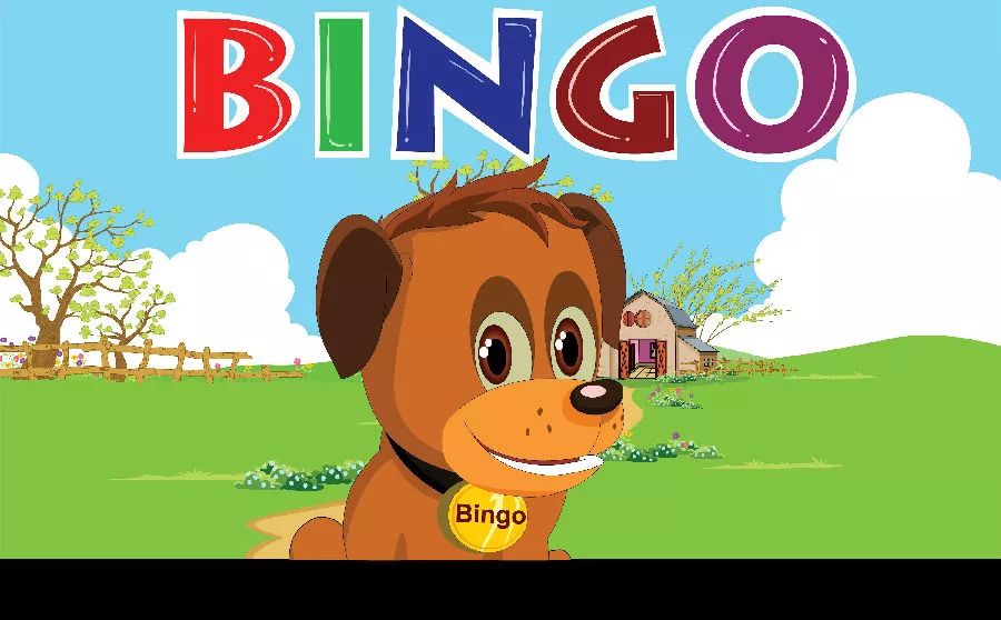 bingoboy图片