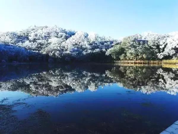 福建六大驚豔雪景大片,銀裝素裹美呆了!_東華山