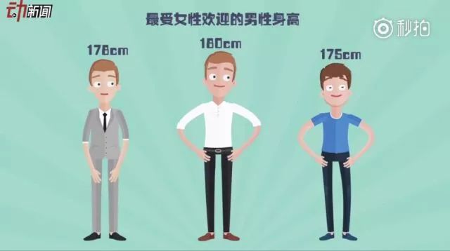 178cm,180cm,175cm