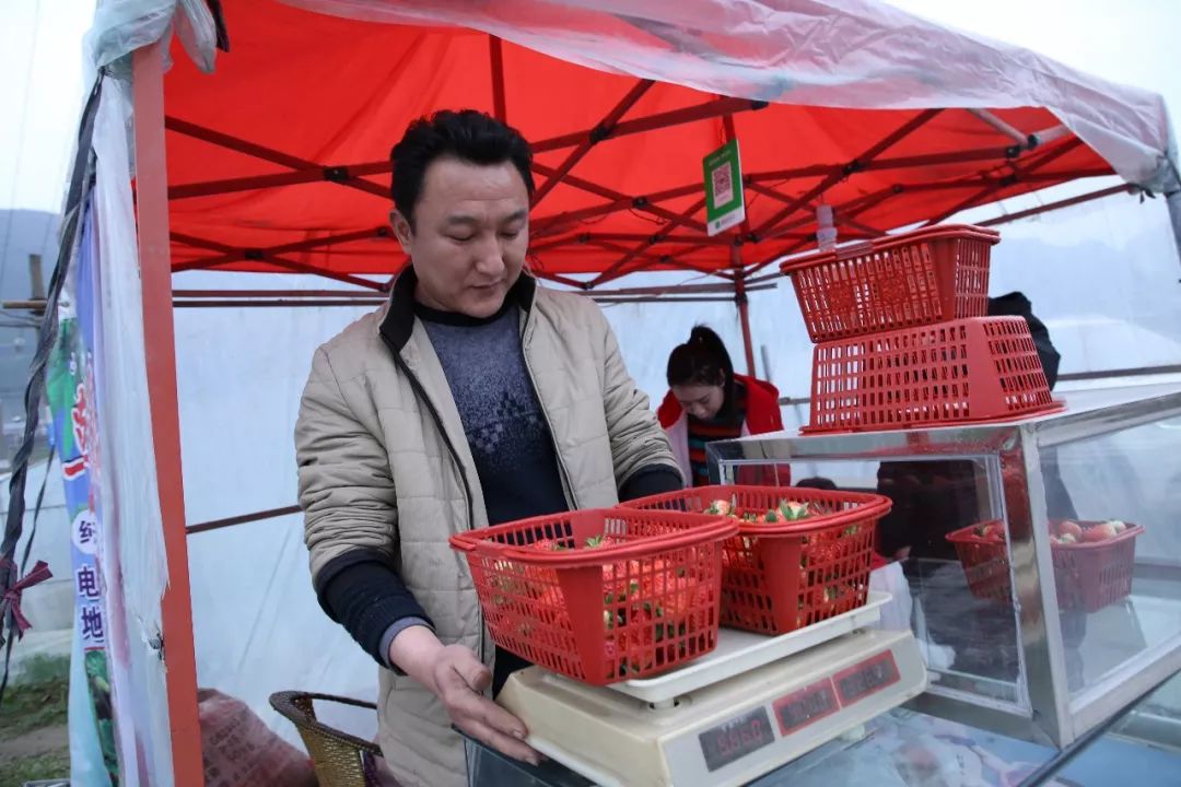 绥阳旺草车祸图片