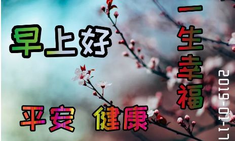 2019最新最美清晨問候動態表情圖片 2019最新早上好表情動態圖片帶字