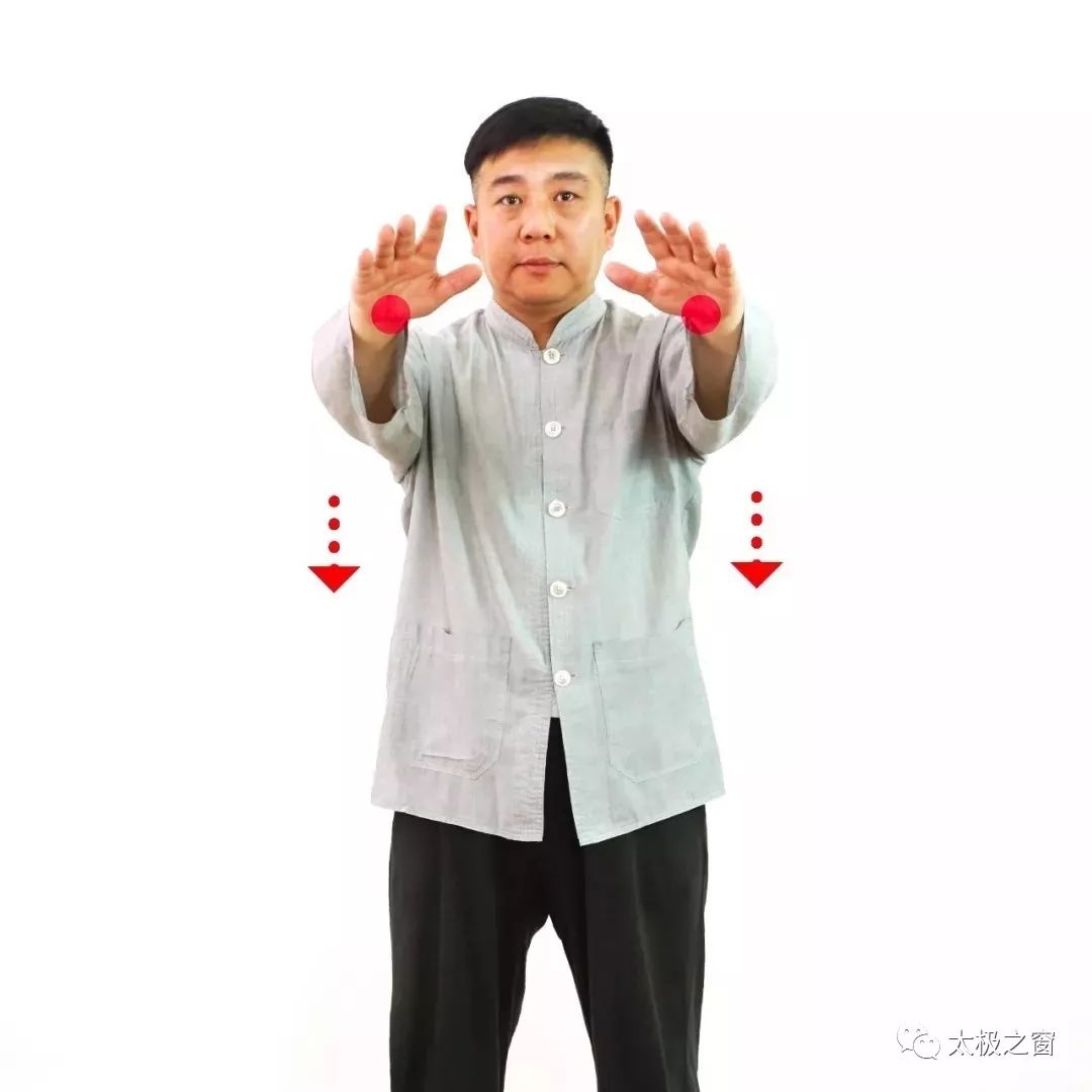 傅清泉85式太极拳演示图片