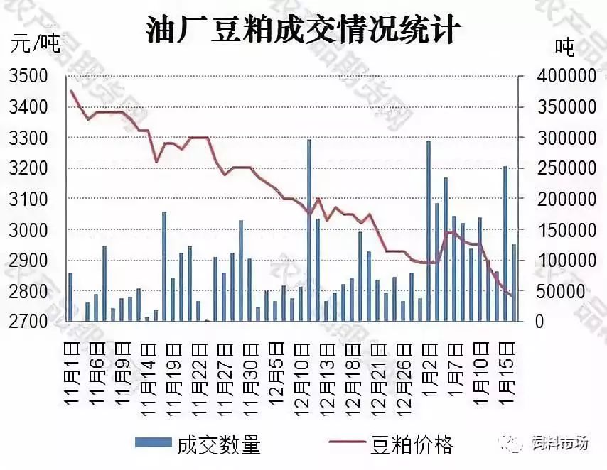 年前備貨能否扭轉豆粕下行趨勢?跌不言底的玉米還能否給我們機會?