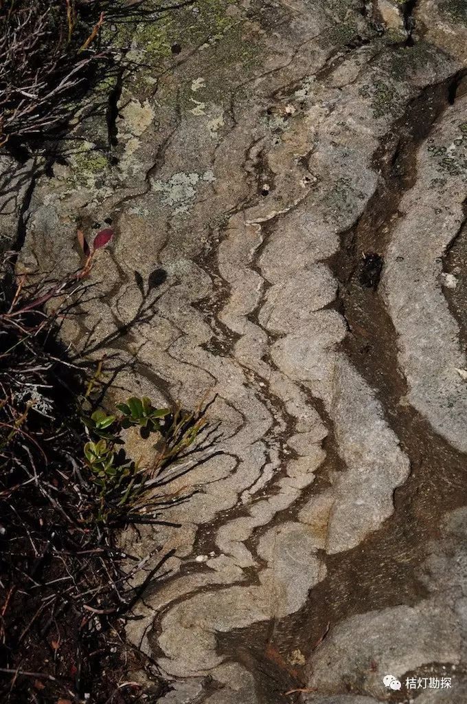 罕見的48處野外地質現象