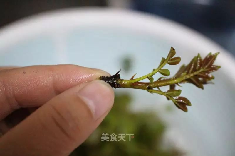 花椒芽炒牛肉图片