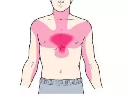 心脏在乳房的哪个位置图片