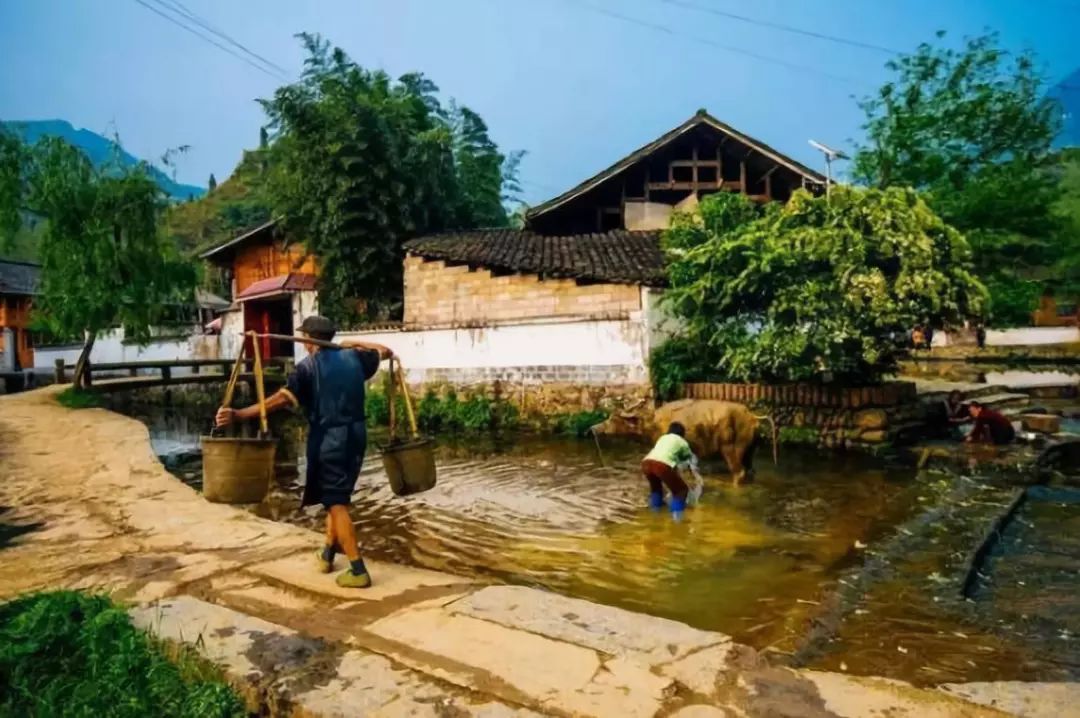 的栈道,具有土家族特色的四合院,清澈透底的龙塘河,青光鉴人的石板道