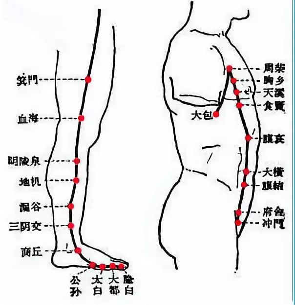 小腿肝经的准确位置图图片