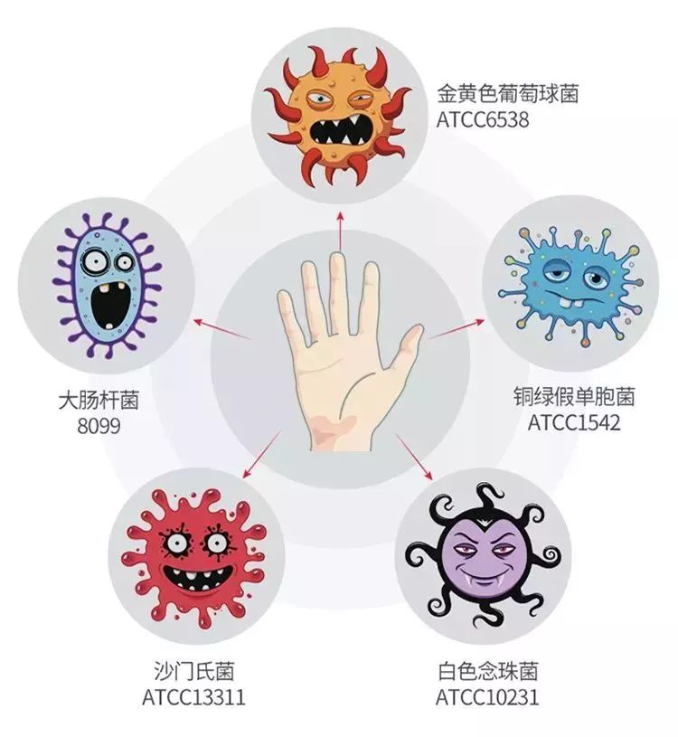 025秒自动出泡10秒杀灭99细菌云朵般泡沫的洗手机