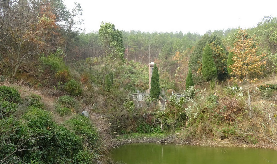 风水大师王君植带你走进湖北看元代徐太师祖坟风水宝地