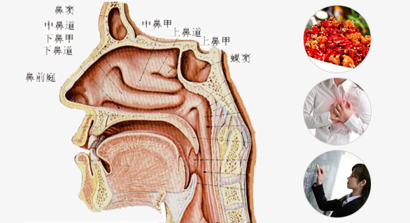 咽喉异常清喉咙的三大原因