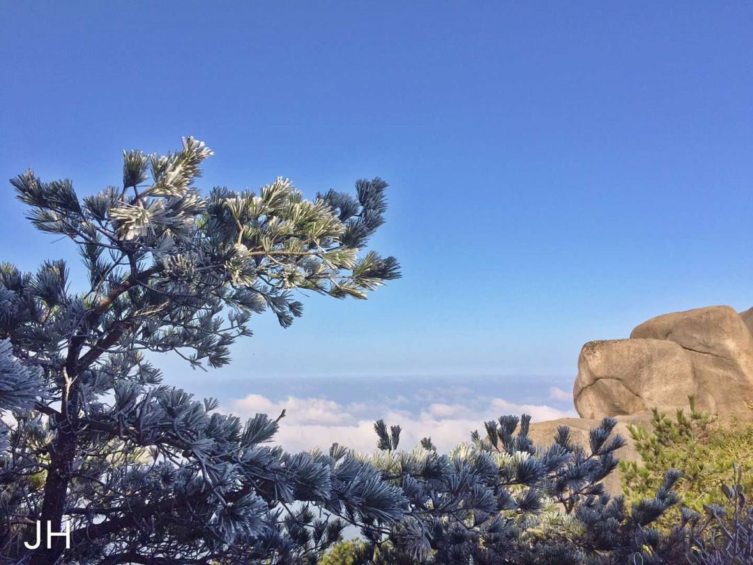 來了德化九仙山2019年首場霧凇雲海仙境冰雪美景百看不厭