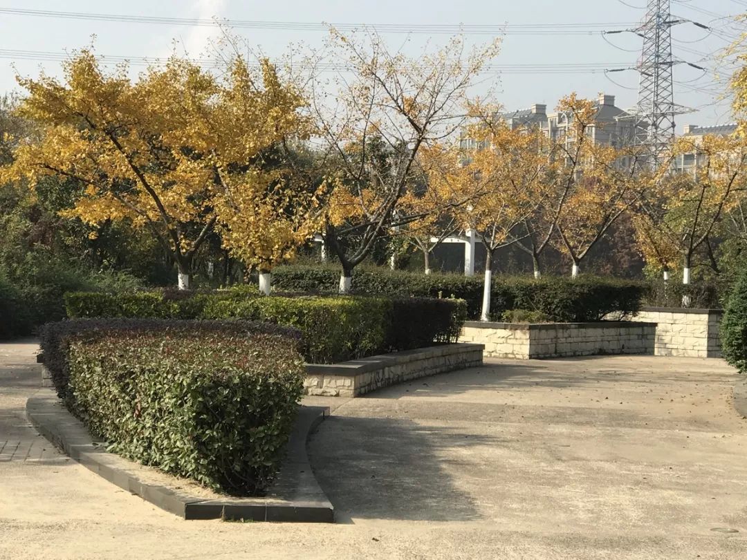 江阴望江公园图片