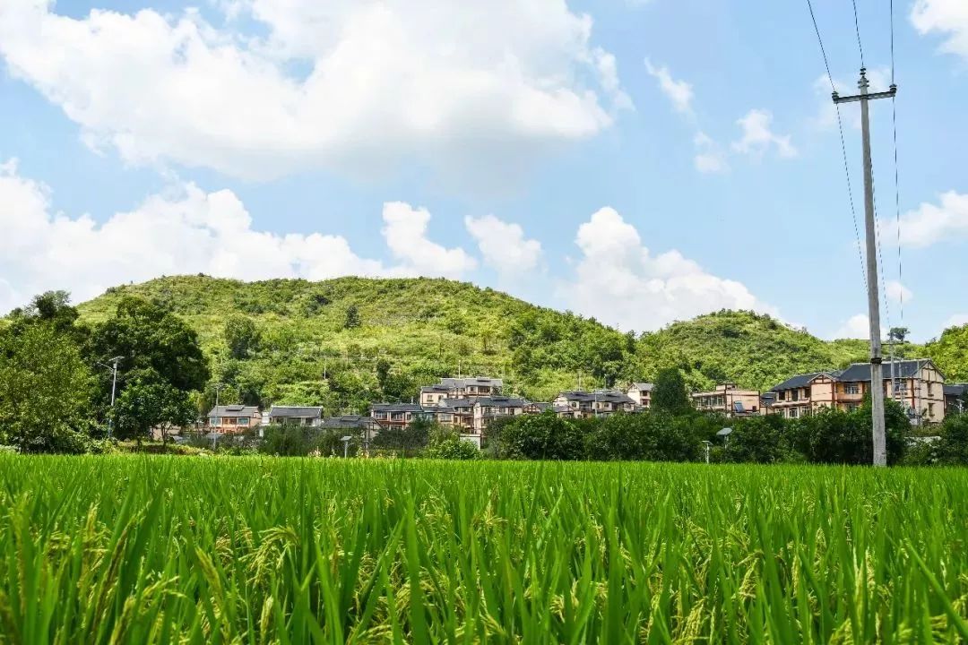 74三岔·柏香台乡村永远是一道迷人的风景不论时间,不论地点