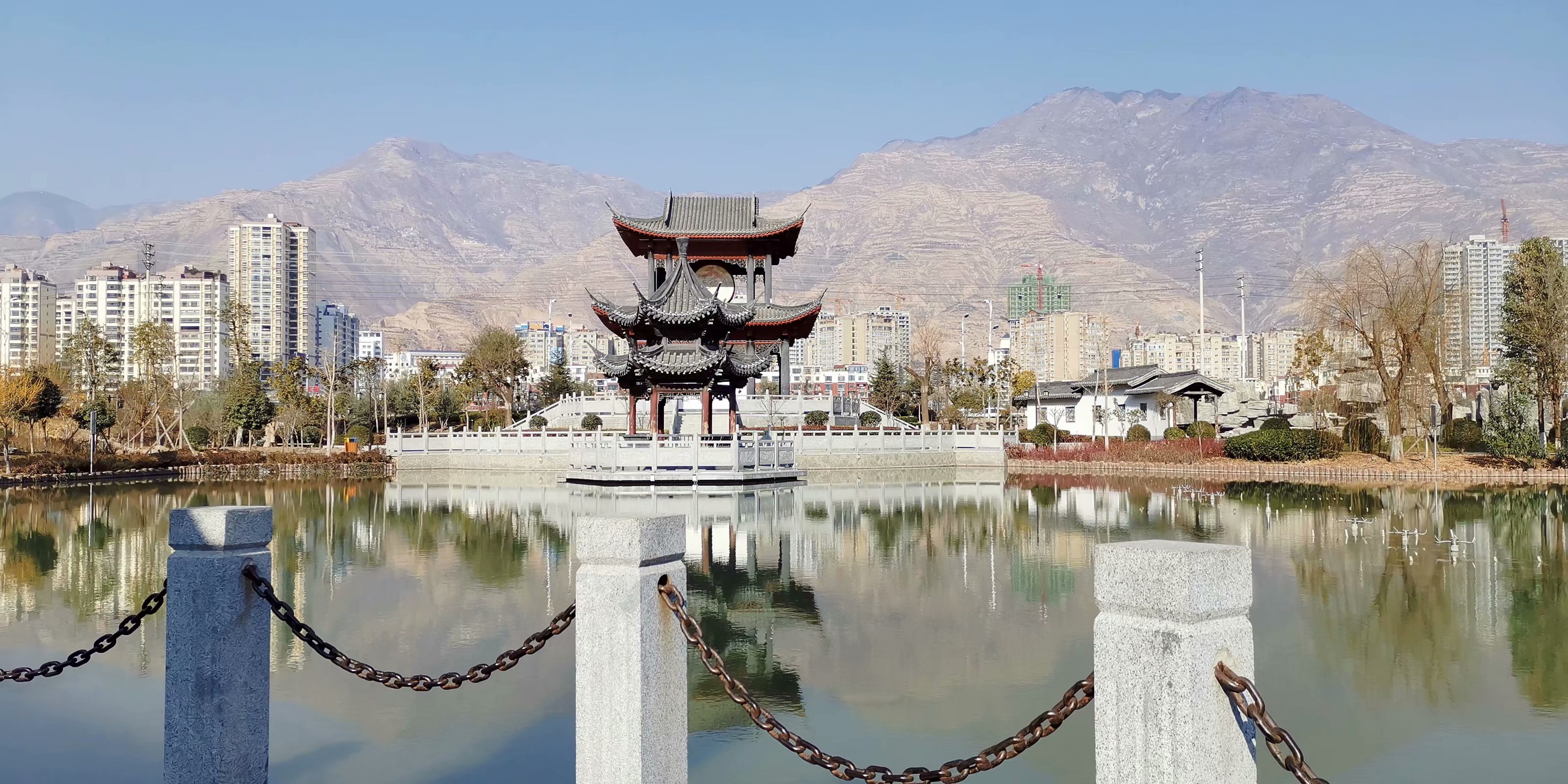 美景分享高山貓隨拍武都江南公園