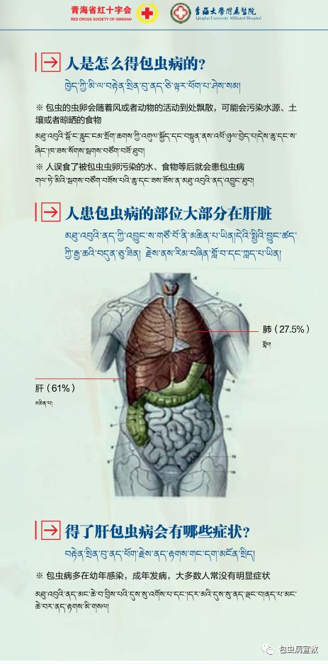 包虫病图片宣传画册图片