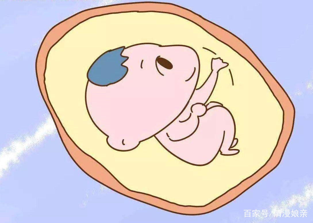 胎儿在肚子里卡通图片图片