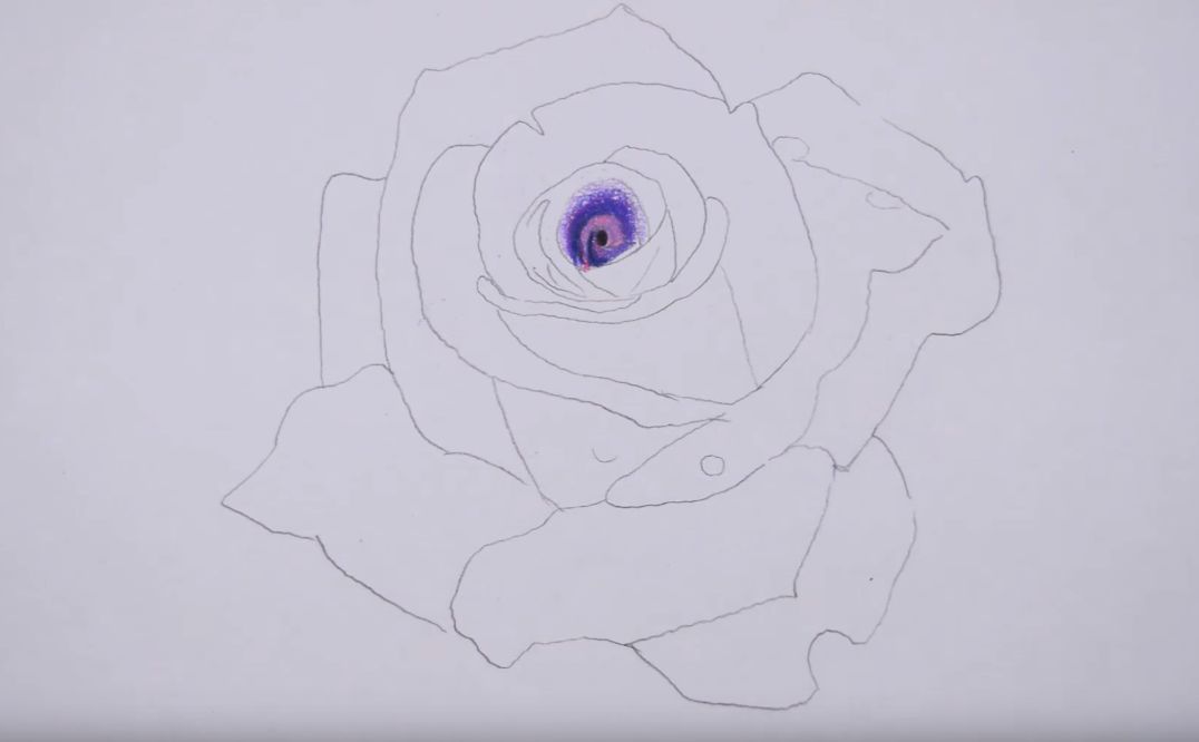 cad玫瑰花的画法图片