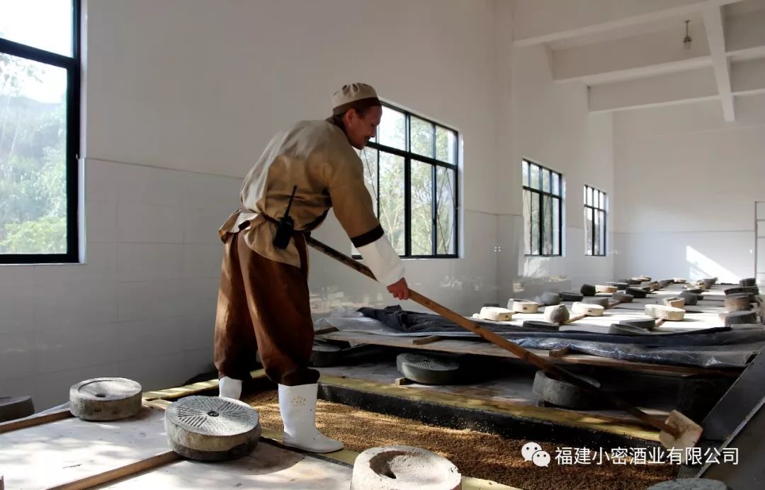 蒸糯米饭浦城包酒酿造工艺专家组前期调研浦城各大包酒企业小密村"小