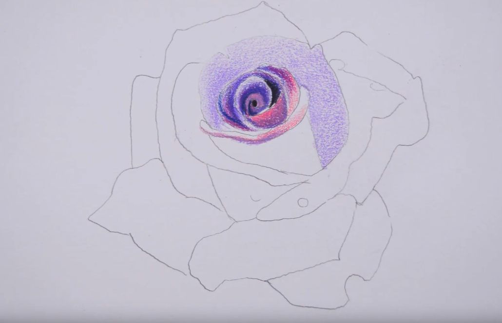 用彩铅,教你画玫瑰花!超美!附带视频哦!