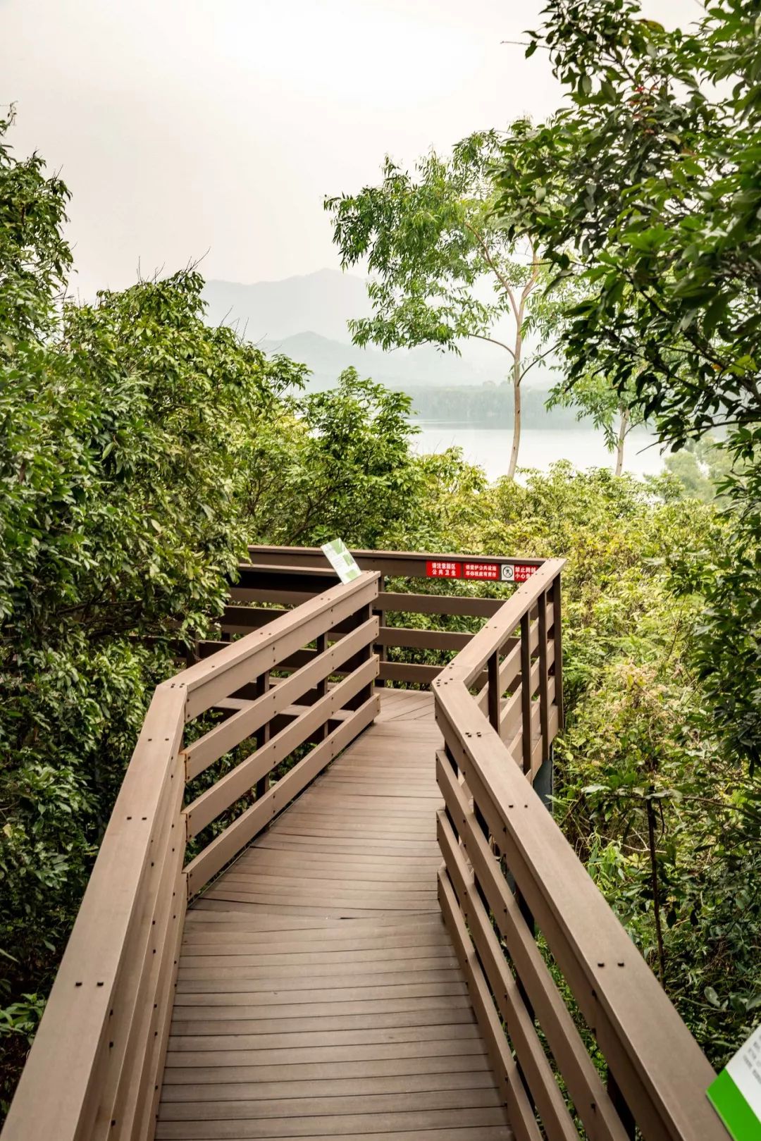 深圳又一個免費公園!叢林棧道,水庫美景,七彩花卉