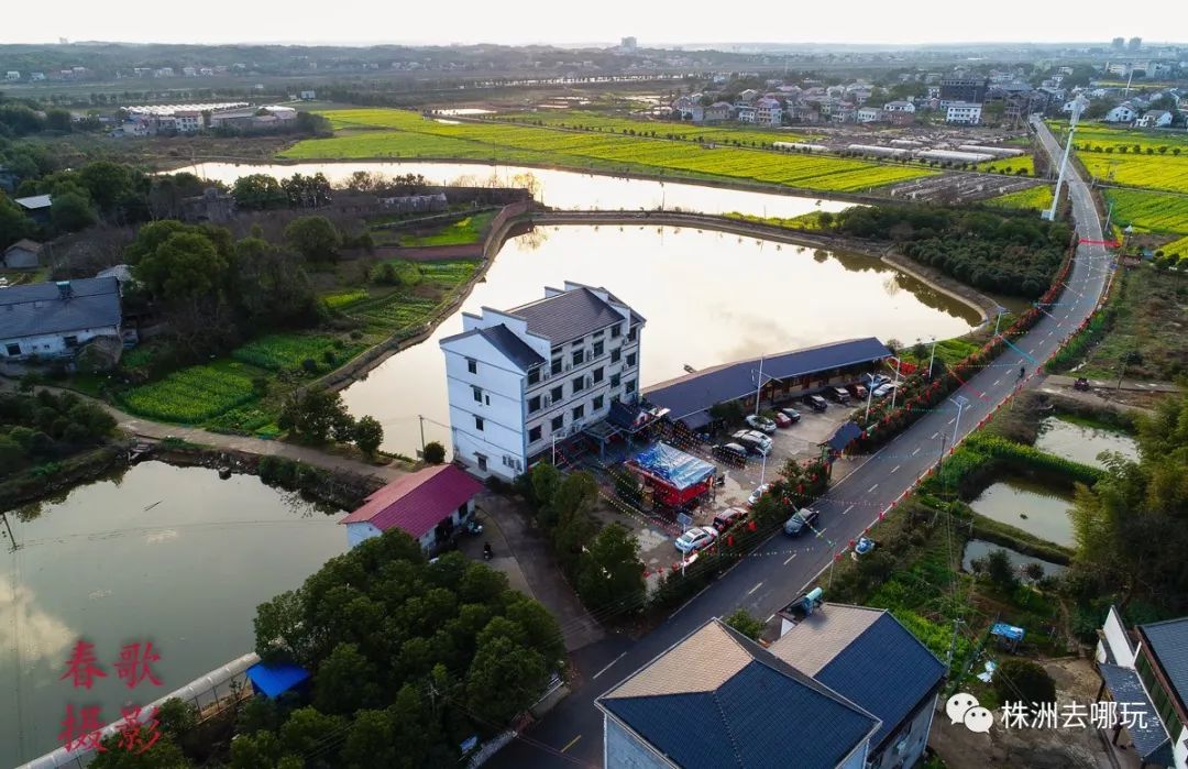 株洲市2017年度有2家五星级乡村旅游区(点),分别为株洲县(现渌口区)