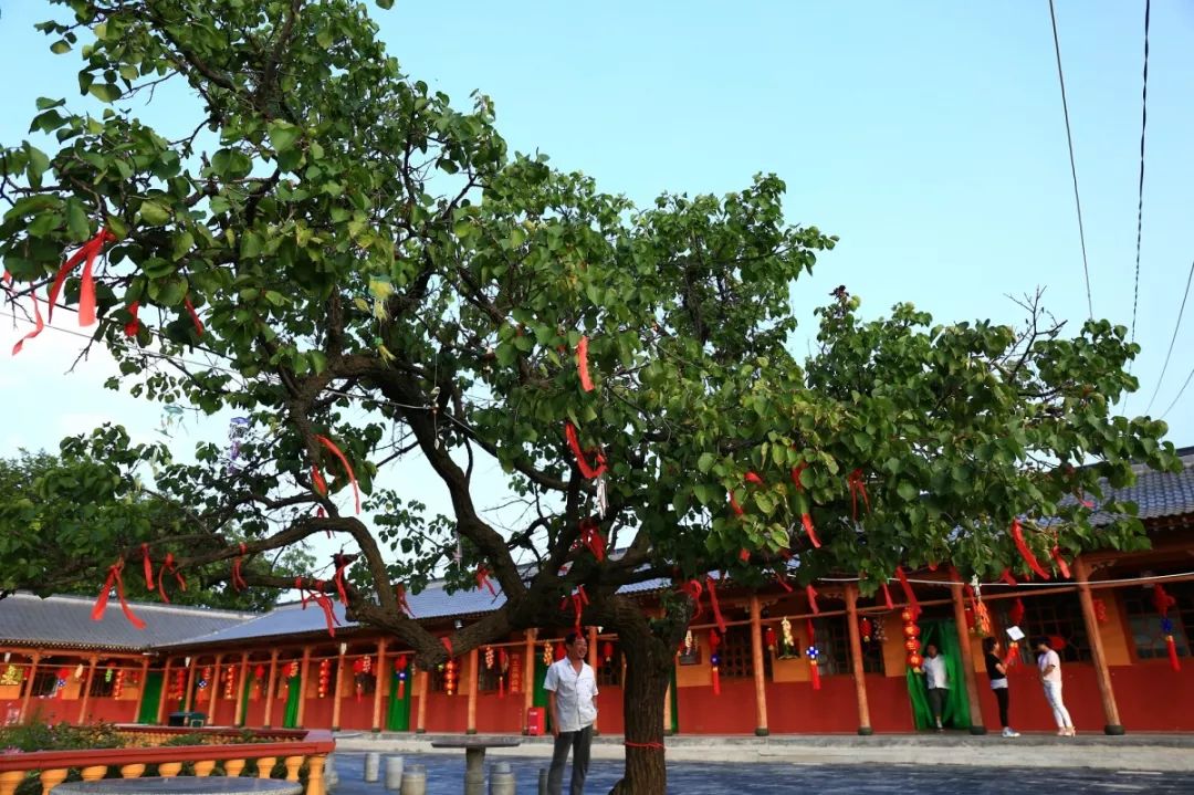 "宁夏十大旅游特色农家乐"新鲜出炉,固原市三家入选!