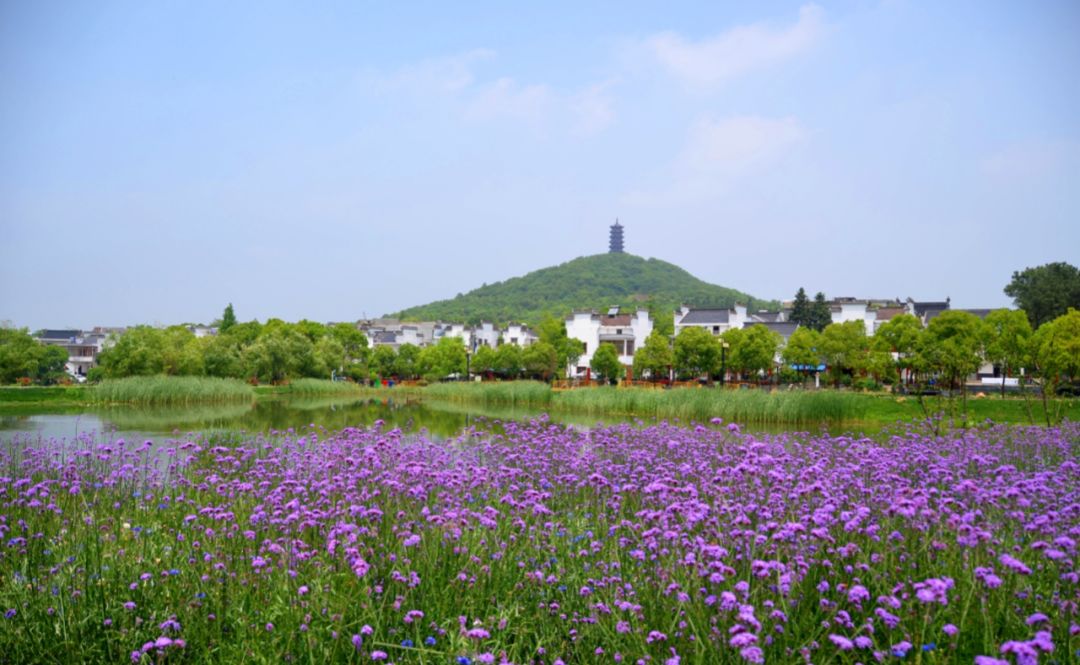 南京高淳竟藏著一个绝美山村!