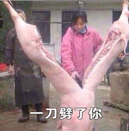 猪的搞笑图片笑死人图片