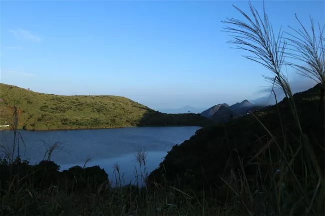 潮州鳳凰山天池潮汕人愛喝工夫茶這一傳統風俗,使得鳳凰單叢能夠走向