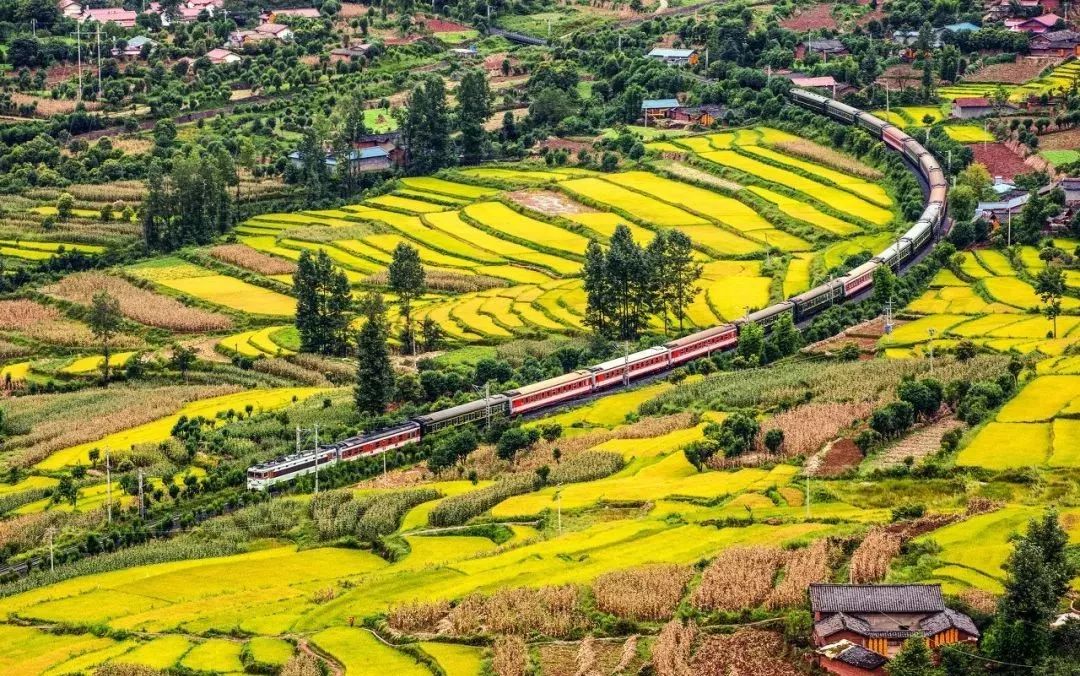这几趟火车带你看遍中国最美的景色