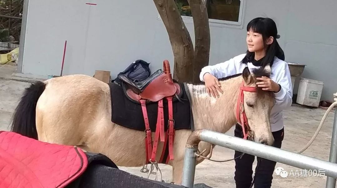 1.20姜二嫚,姜馨贺在广东中山伊甸园与心爱的马—小仙女2019.1.